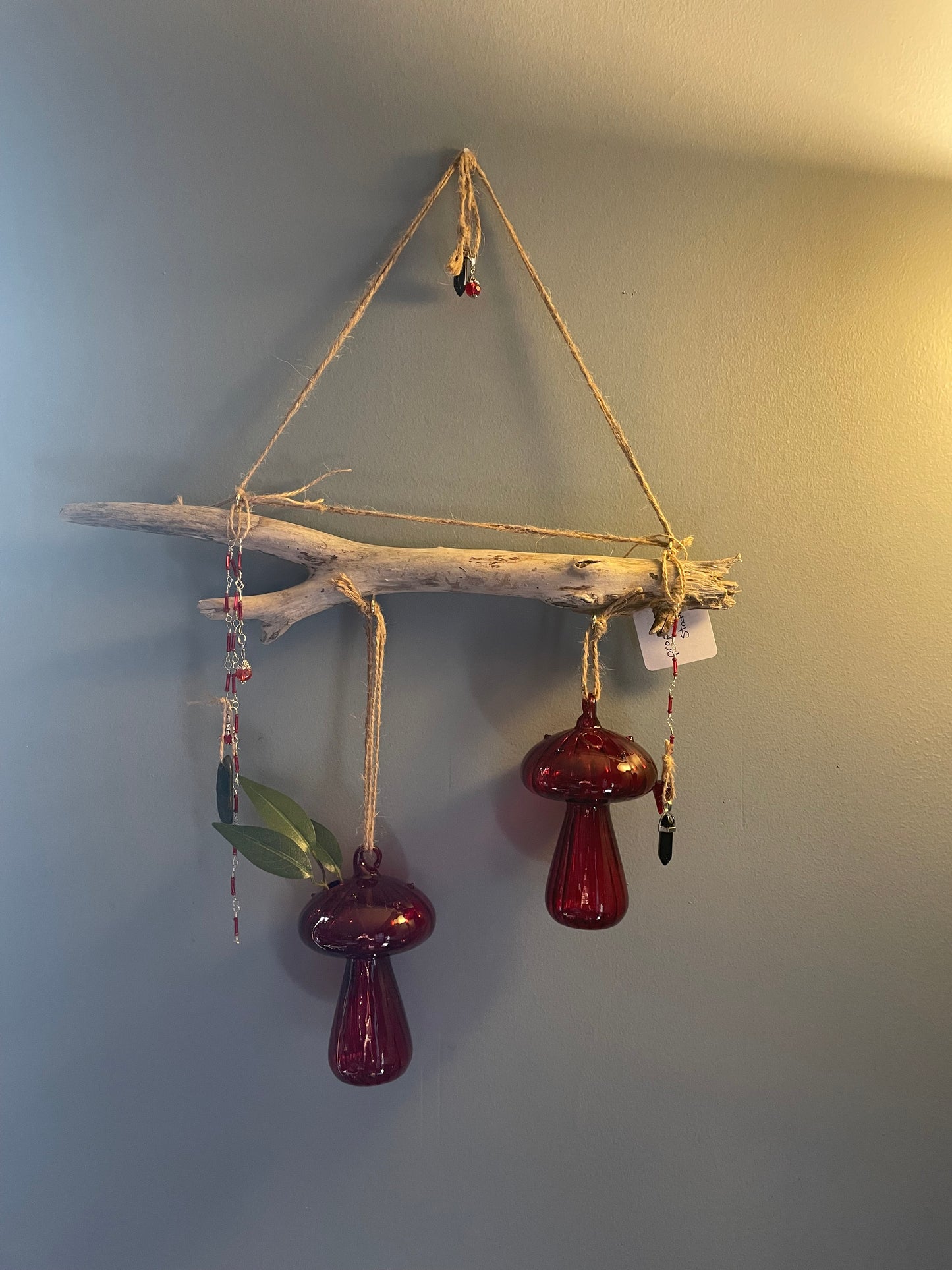 Propagation Station:  Shroom to Flourish