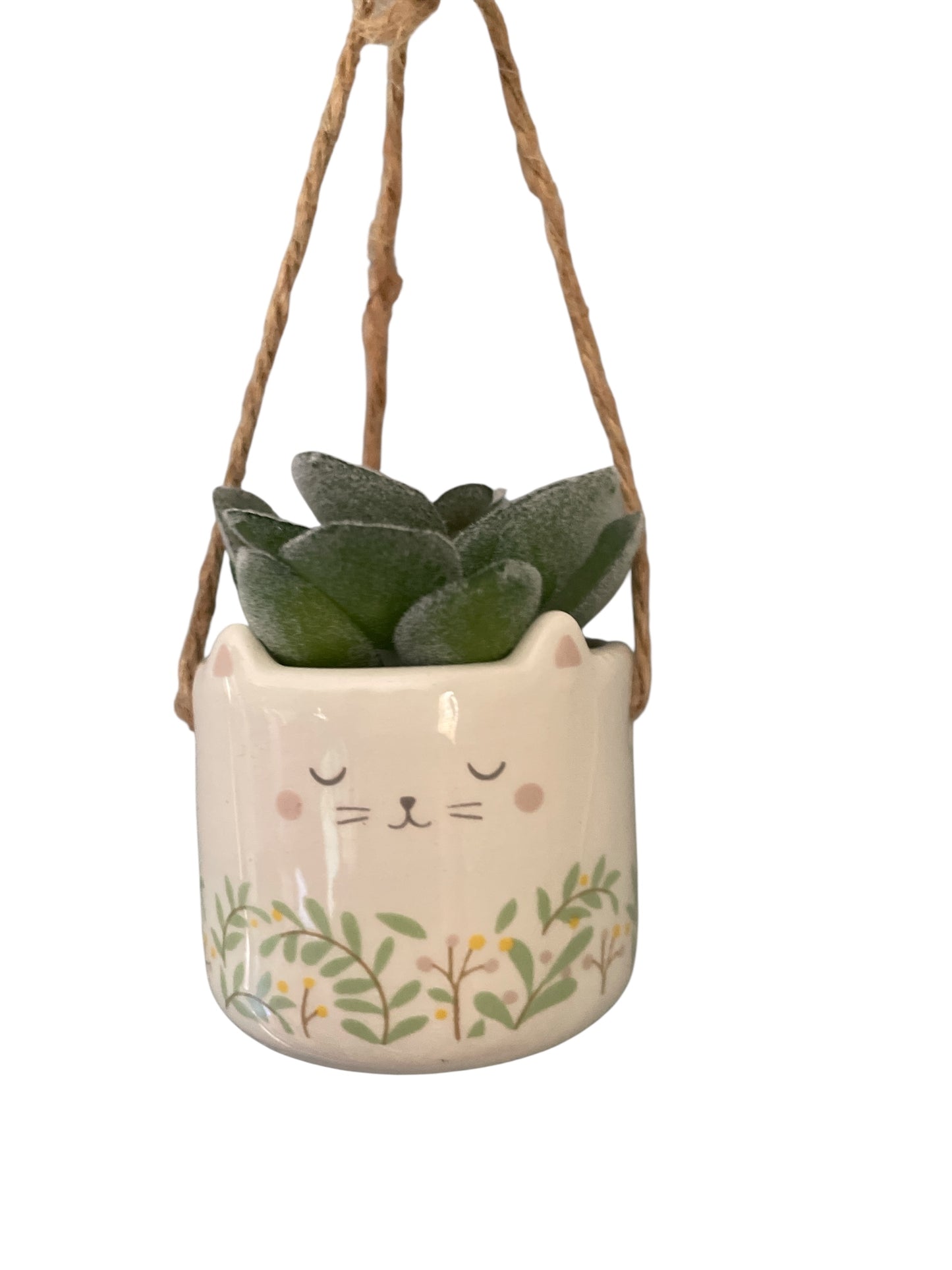 Embrace the Meow-ment